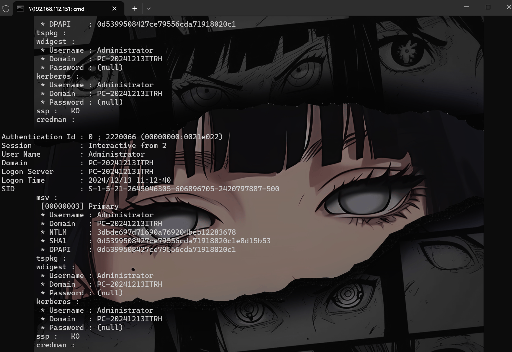 image-20241213112651045